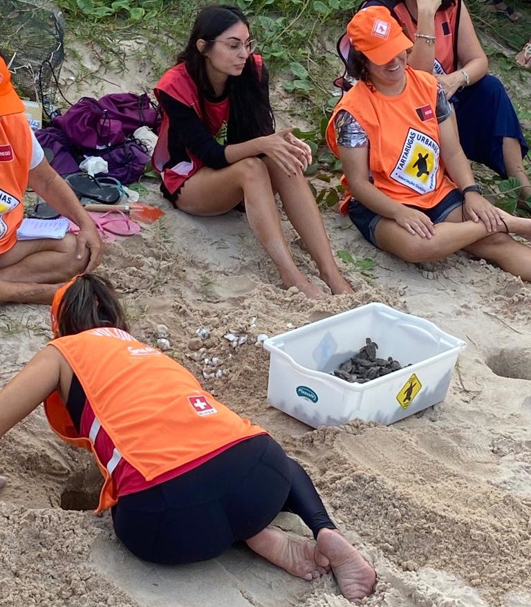 Espetáculo mais de 90 tartarugas nascem na praia do Bessa em João