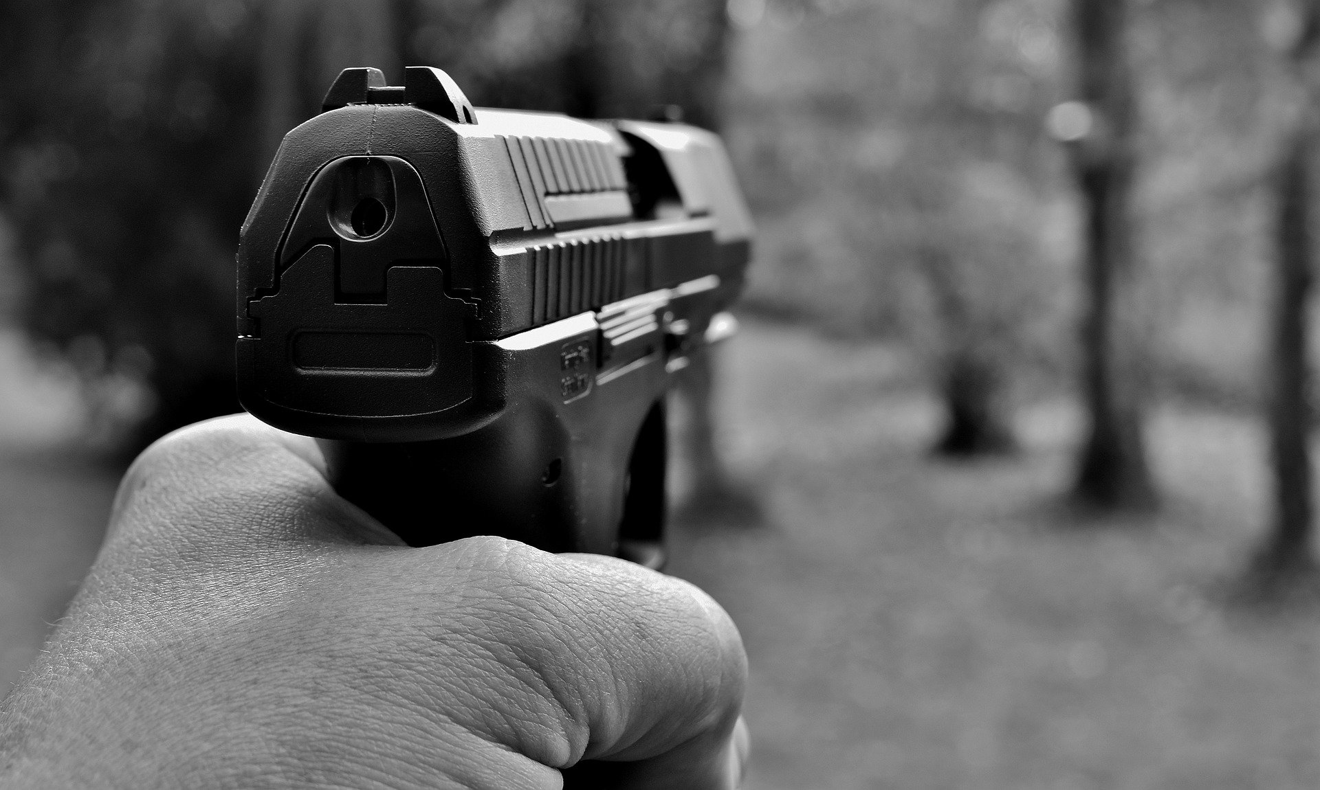 A imagem atual não possui texto alternativo. O nome do arquivo é: arma-de-fogo