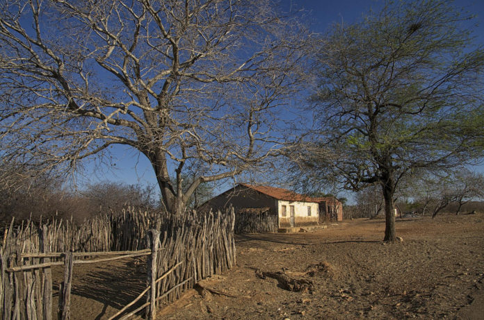 The current image has no alternative text. The file name is: estiagem-seca