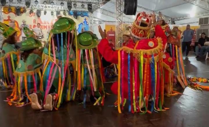 Grupo de Dança Cavalo Marinho Infanto-Juvenil da Aliança Bayeux Franco Brasileira (3)