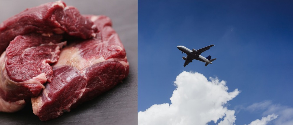 A imagem atual não possui texto alternativo. O nome do arquivo é: carne-e-aviao