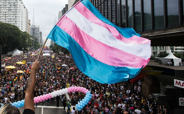 A imagem atual não possui texto alternativo. O nome do arquivo é: bandeira-trans-2
