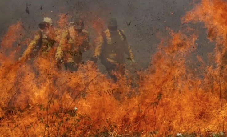 A imagem atual não possui texto alternativo. O nome do arquivo é: incendio-11