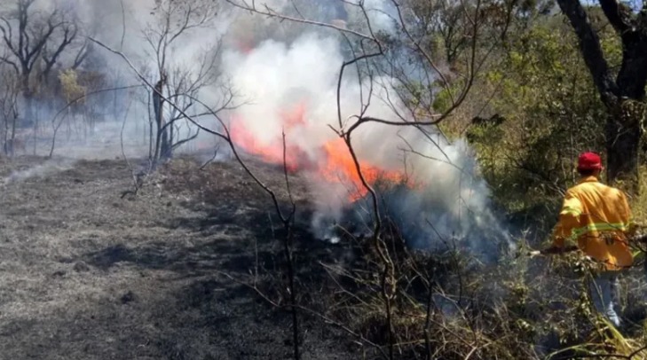 A imagem atual não possui texto alternativo. O nome do arquivo é: incendio-13