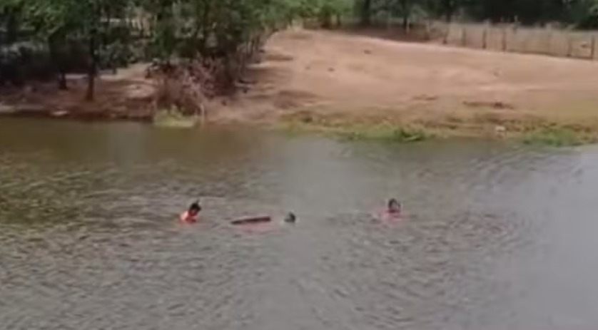 A imagem atual não possui texto alternativo. O nome do arquivo é: whatsapp-image-2025-03-06-at-08-53-42