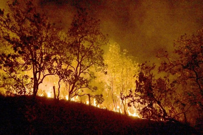 A imagem atual não possui texto alternativo. O nome do arquivo é: incendio-14