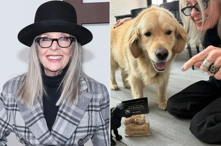 Atriz Diane Keaton deixa US$ 5 milhões para cachorro; saiba o que diz a lei brasileira