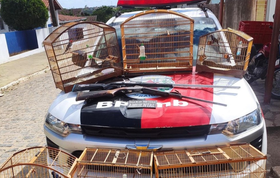 A imagem atual não possui texto alternativo. O nome do arquivo é: whatsapp-image-2025-11-04-at-07-39-13