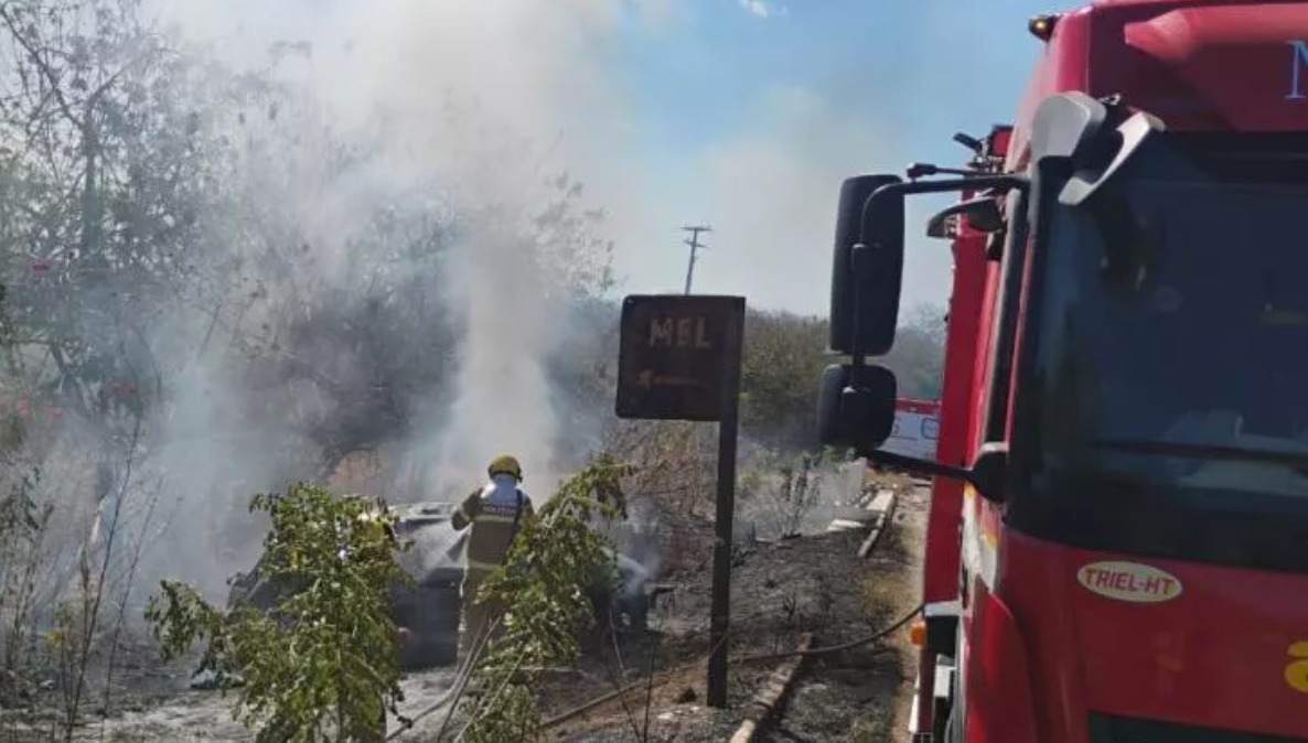 A imagem atual não possui texto alternativo. O nome do arquivo é: whatsapp-image-2025-11-04-at-22-36-02