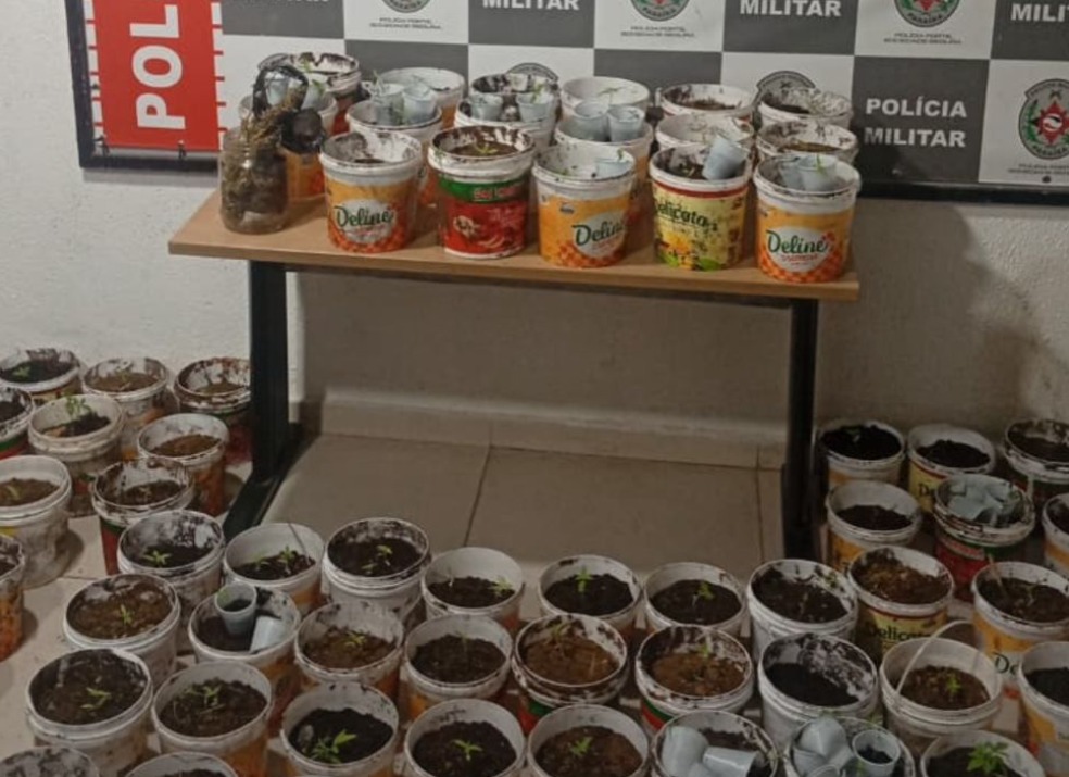 The current image has no alternative text. The file name is: whatsapp-image-2025-11-27-at-10-25-38