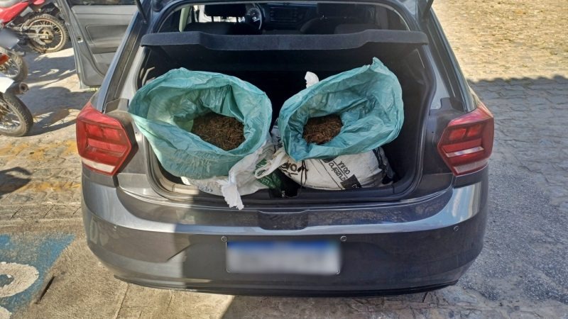 The current image has no alternative text. The file name is: whatsapp-image-2025-11-13-at-10-10-39