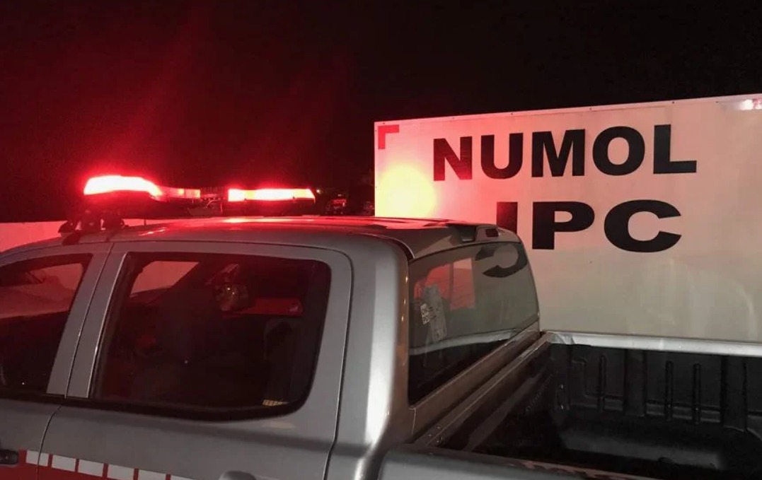 The current image has no alternative text. The file name is: whatsapp-image-2025-12-16-at-08-11-18