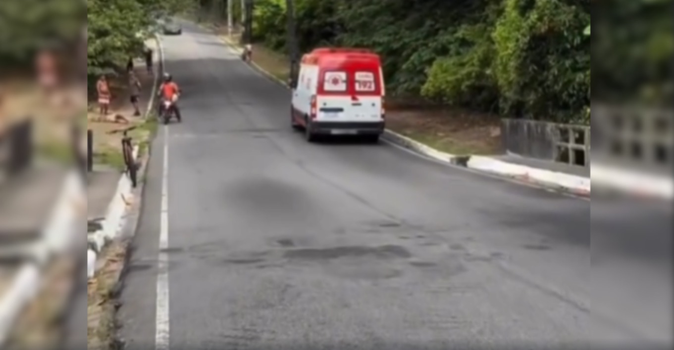 The current image has no alternative text. The file name is: whatsapp-image-2025-12-26-at-11-12-41