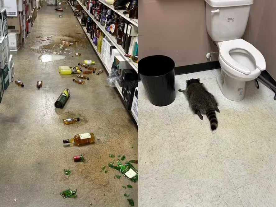 The current image has no alternative text. The file name is: whatsapp-image-2025-12-05-at-09-58-48