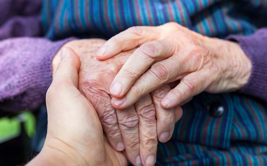 The current image has no alternative text. The file name is: whatsapp-image-2026-01-07-at-21-02-20