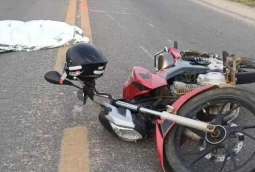 The current image has no alternative text. The file name is: whatsapp-image-2026-02-16-at-08-43-18