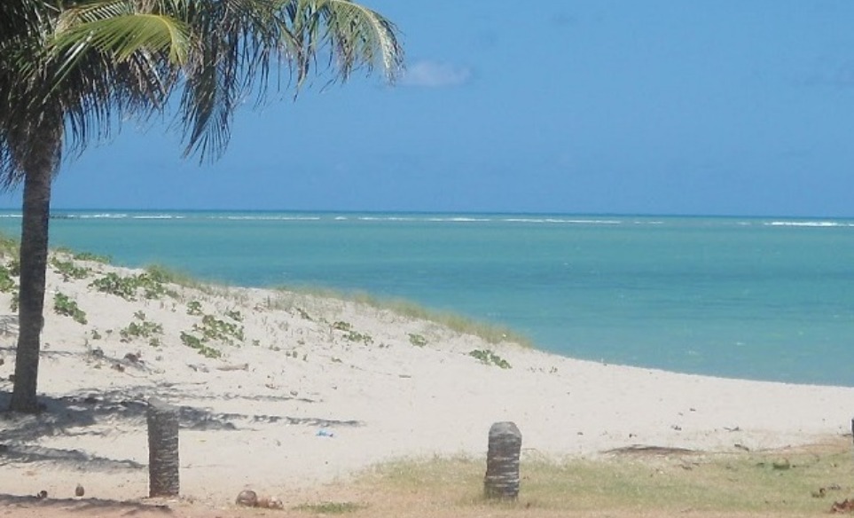 The current image has no alternative text. The file name is: whatsapp-image-2026-02-23-at-09-06-12