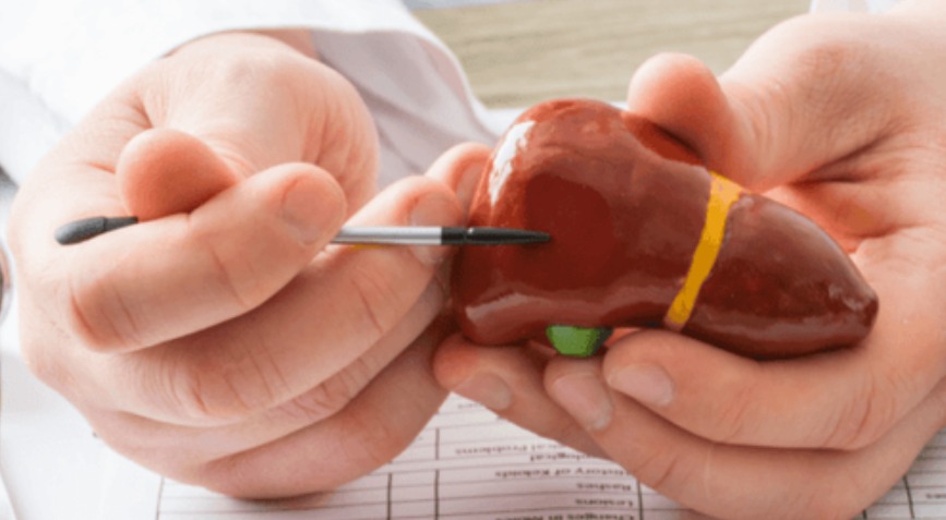 The current image has no alternative text. The file name is: whatsapp-image-2026-03-23-at-08-09-51