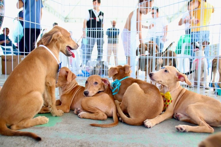 The current image has no alternative text. The file name is: whatsapp-image-2026-03-15-at-16-43-33