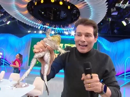 The current image has no alternative text. The file name is: whatsapp-image-2026-03-23-at-08-33-04