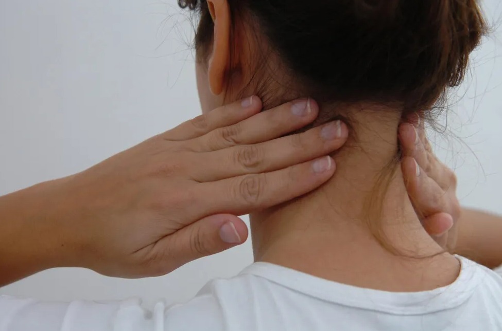 The current image has no alternative text. The file name is: whatsapp-image-2026-04-12-at-22-53-09