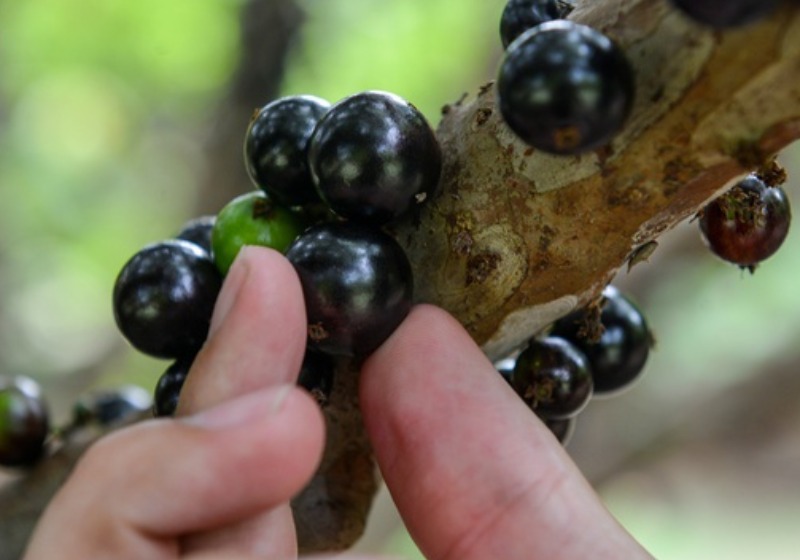 The current image has no alternative text. The file name is: whatsapp-image-2026-04-12-at-09-25-07