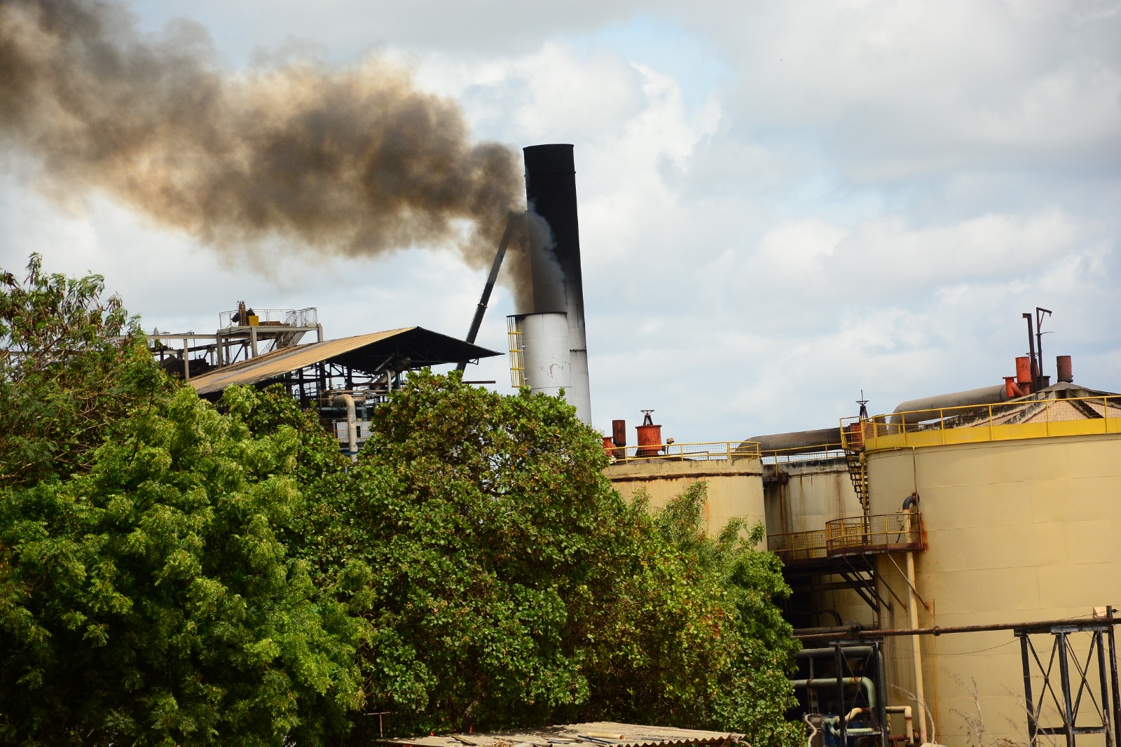 The current image has no alternative text. The file name is: d5e44eea5c6793a8ec1b465c90450d97.jpeg