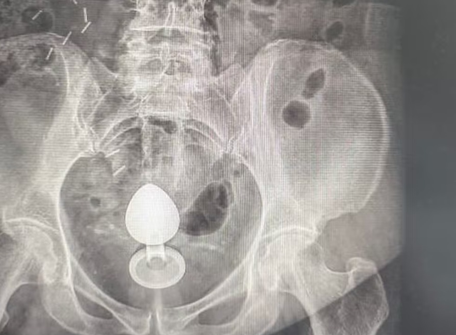 The current image has no alternative text. The file name is: whatsapp-image-2026-04-08-at-09-47-59